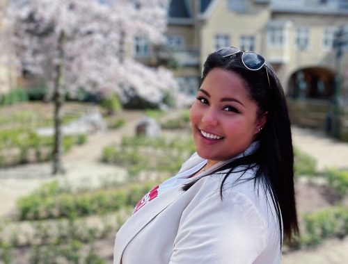 Bloesemboom in Roermond - Maart